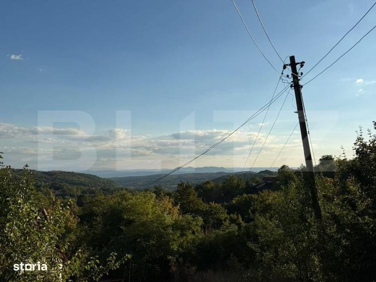 Casa de vanzare cu priveliste frumoasa si teren - 3