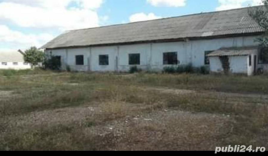 Spațiu comercial, de 8,438 mp, în Cobadin