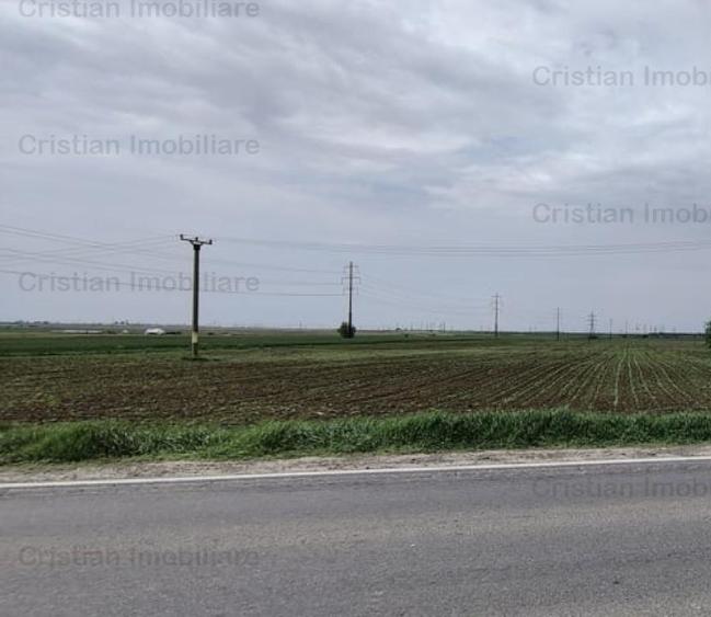 Teren intravilan de 7500 mp, în Centură