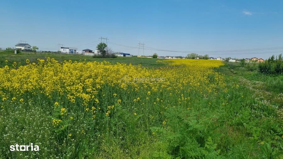 Teren de 4763 mp, în Berceni