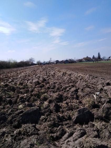 Teren de 2300 mp, în Bâldana