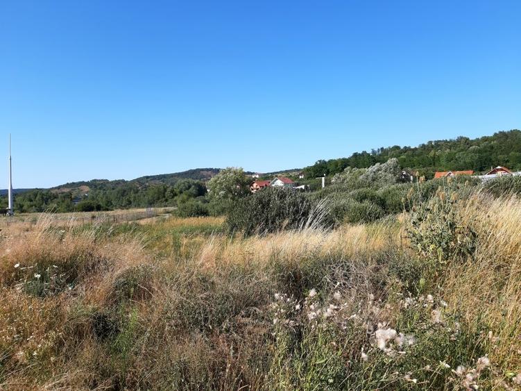 Teren Construcții intravilan de 5300 mp, în Corunca