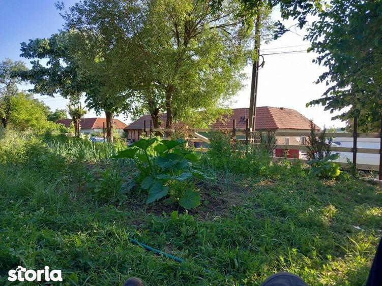 Teren de 5754 mp, în Ohaba Lungă
