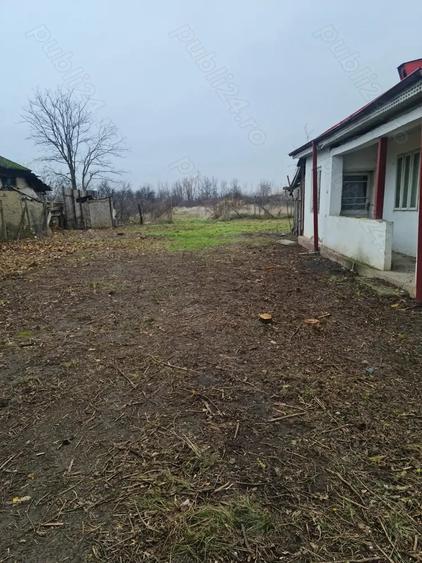 Casă în Garoafa