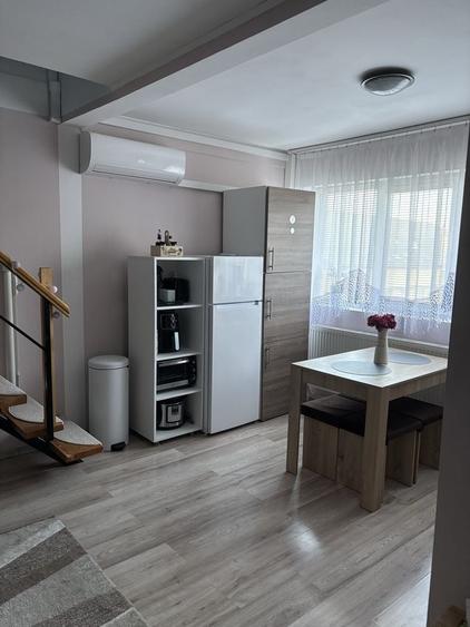 Apartament cu 2 camere în Terezian