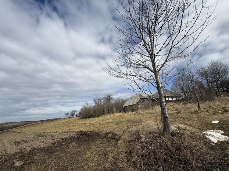 Teren Construcții intravilan de 1556 mp, în Horodnic de Jos