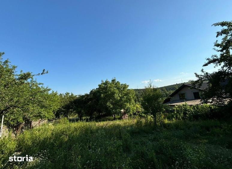 Teren de 2540 mp, în Miroslava
