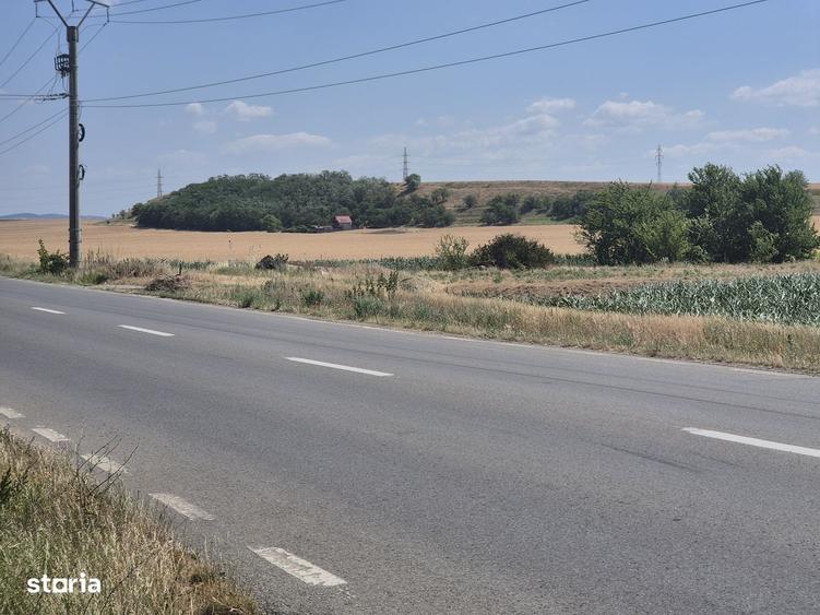 Teren intravilan de vanzare- 7300 mp, in Vintu de jos - 5