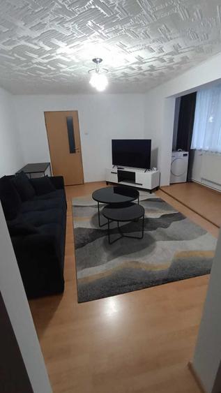 Apartament 2 camere, parter | Pet Friendly (doar pisici) Zona cartier Sasar - 7
