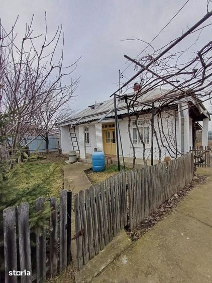 Casă cu 3 camere cu Teren 5000 Mp în Central