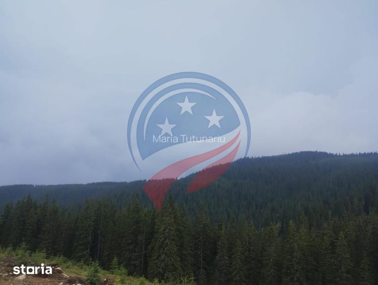 Teren de vanzare in Horezu/Pietrele Rosii/Valcea