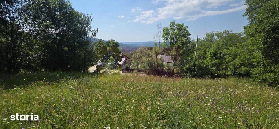 Teren intravilan 1237 mp cu view in Comarnic - 6