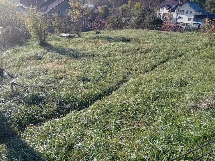 Teren de 1028 mp, în Băcești