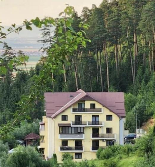 Apartament cu 2 camere decomandat, mobilat în Cernatu