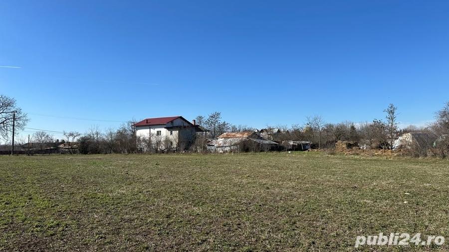 Teren de 10000 mp, în Lucianca