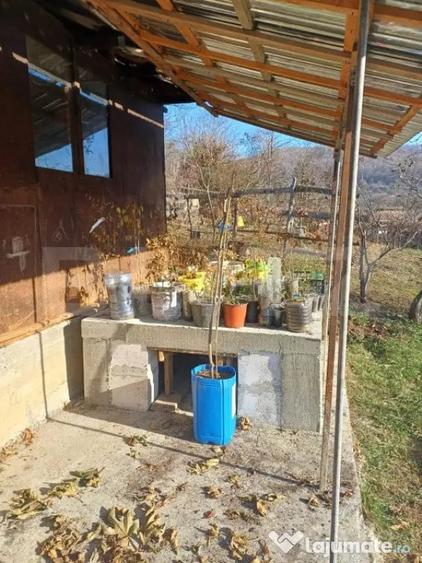 Casă cu 3 camere cu Teren 2000 Mp în Central