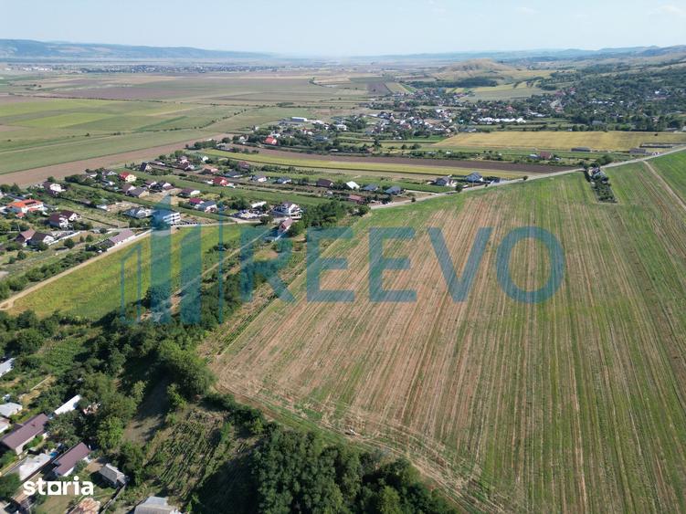Teren de 7366 mp, în Sărata