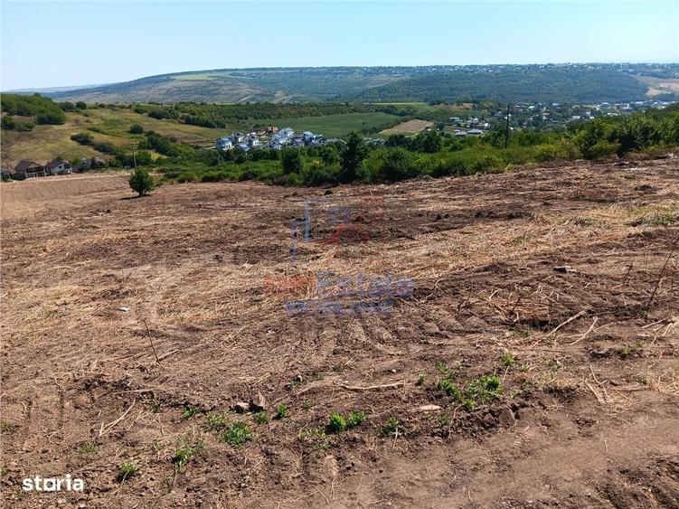 Ocazie! Sorogari TEREN 10000mp intravilan PUZ realizat si toate utili - 8