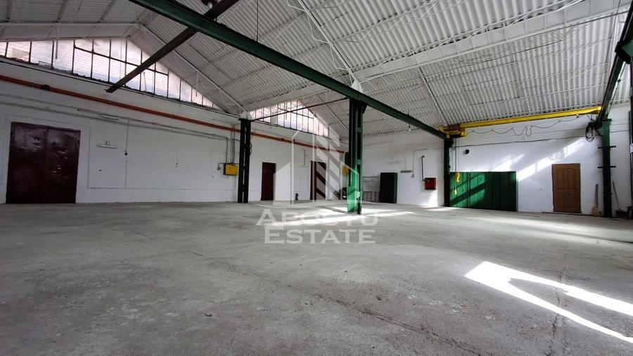 Spațiu industrial, de 400 mp, în Sânnicolau Mic