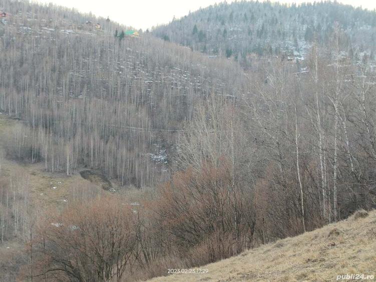 Teren de 15000 mp, în Plopi
