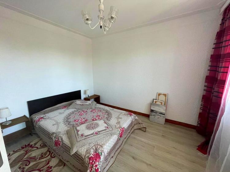 Apartament cu 2 camere nedecomandat, mobilat în Podu Roș