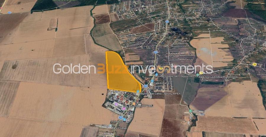 Teren Construcții intravilan de 270000 mp, în Păuleștii Noi