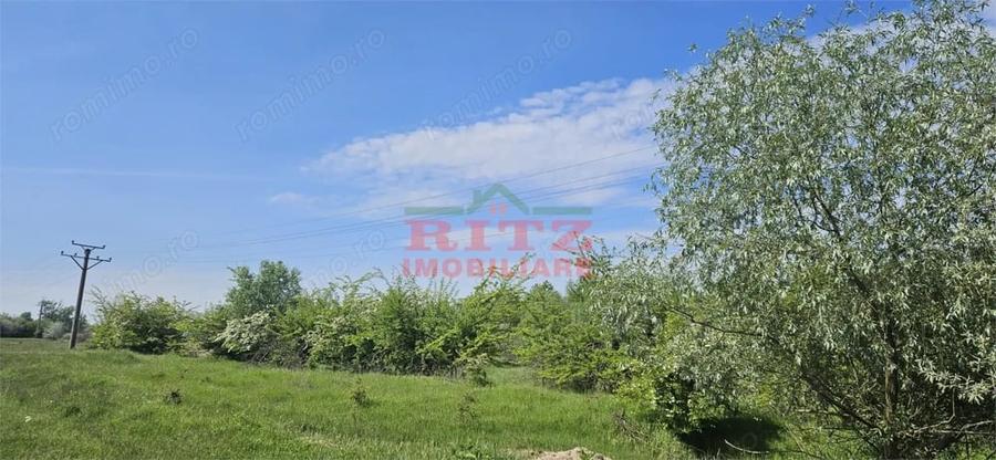 Teren de 295000 mp, în Stoenești