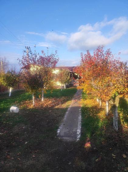 Casă cu 12 camere cu Teren 2230 Mp în Tăriceni