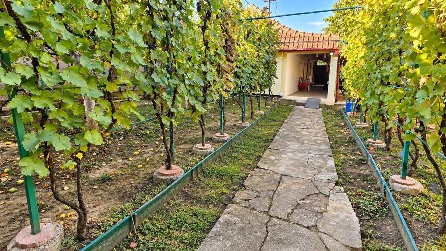 Casă cu 4 camere în Plopi