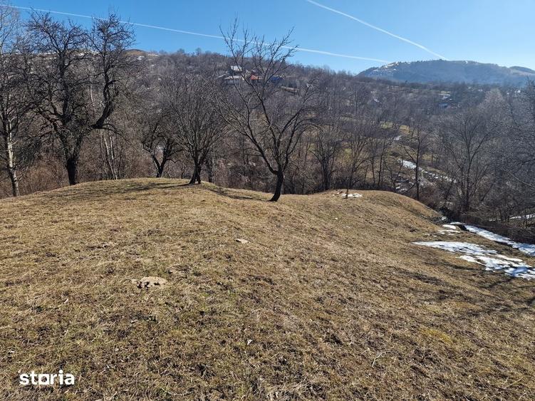 Teren de 4100 mp, în Secăria