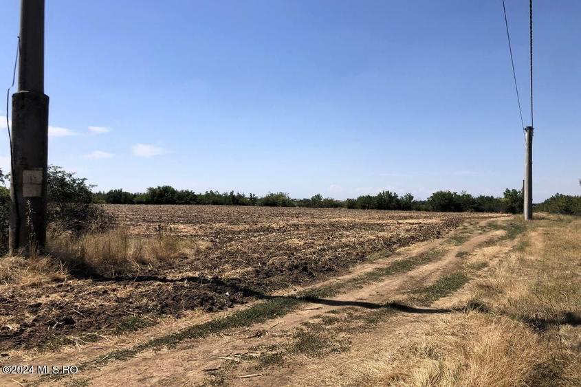 Teren Construcții extravilan de 11884 mp, în Moara Vlăsiei