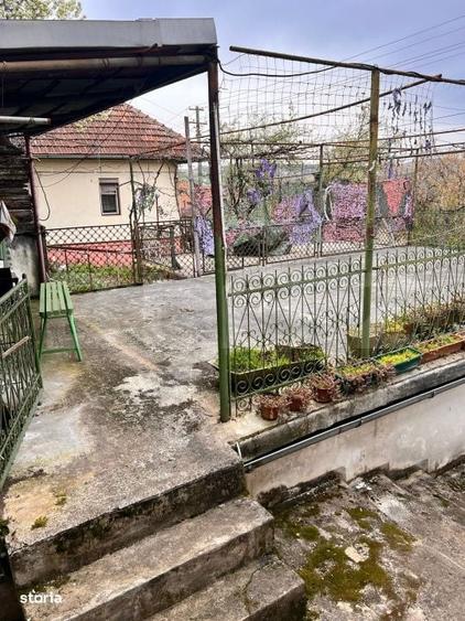 Apartament cu 3 camere în Cărpiniș