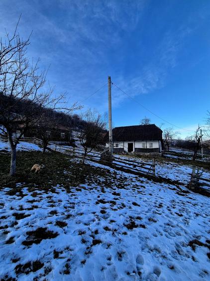 Teren Construcții intravilan de 4318 mp, în Șimon