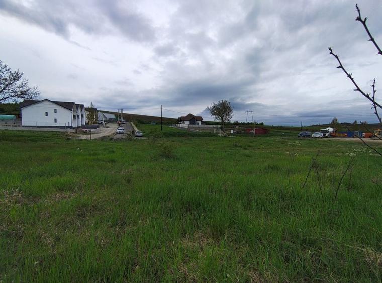Teren Construcții intravilan de 717 mp, în Șura Mare