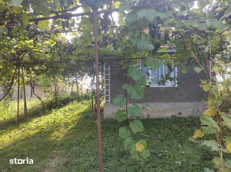 Casă cu 1 camere cu Teren 30 Mp în Lăzăreni