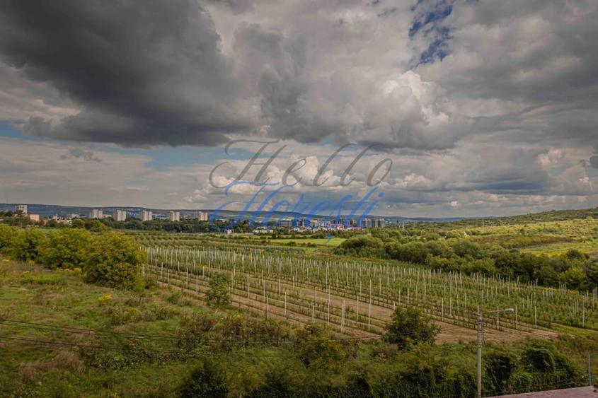 Apartament cu 2 camere decomandat, mobilat în Borhanci