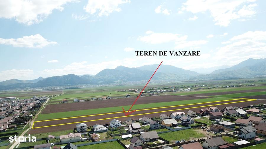 Teren de 29200 mp, în Tărlungeni