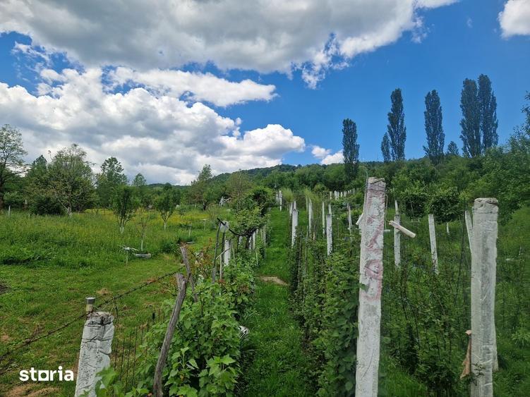 Teren de 3026 mp, în Central