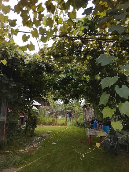 Casă cu 3 camere în Central