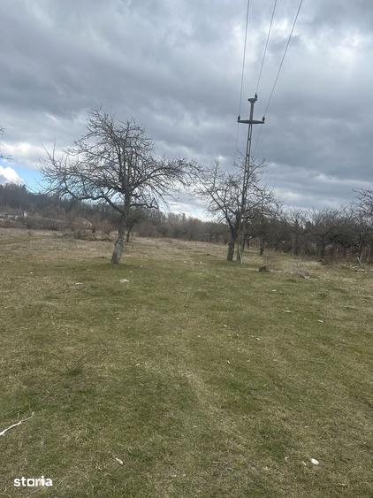 Teren de 4400 mp, în Voila