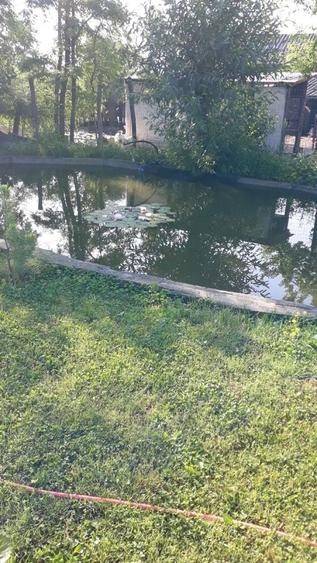 Casă cu 4 camere în Albota