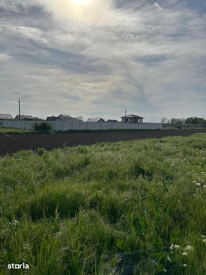 Teren de Vanzare, Comuna Berceni, Judetul Ilfov, Strada Primaverii - 2