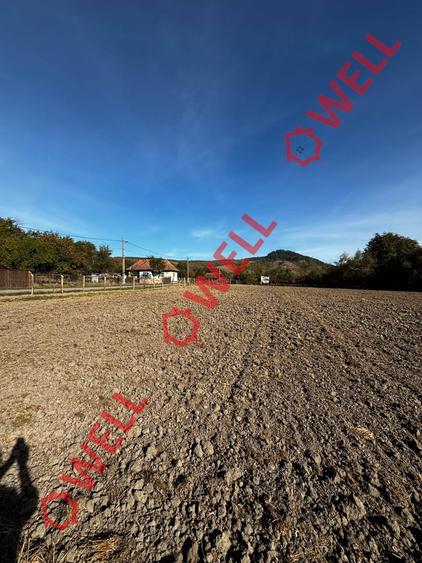 Casă cu 2 camere cu Teren 3481 Mp în Jimbor