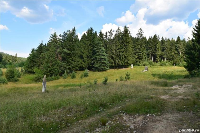 Teren de 575 mp, în Central