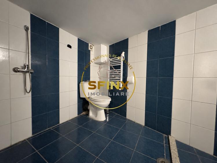 Spațiu comercial, de 150 mp, în Dacia