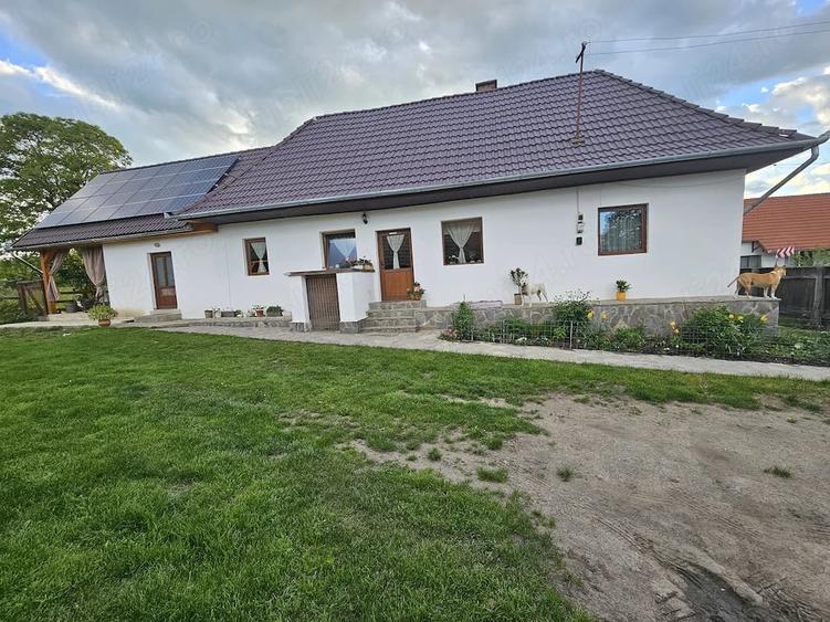Casă cu Teren 3500 Mp în Zălan