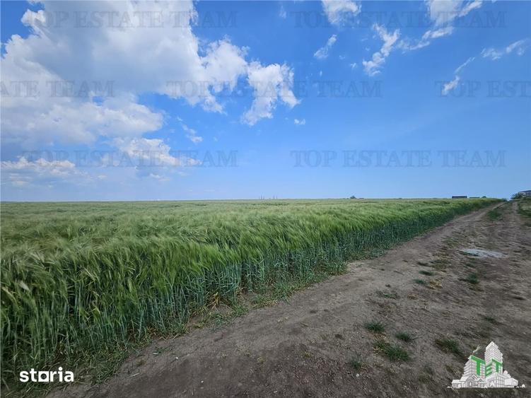 Teren de 50000 mp, în Agigea