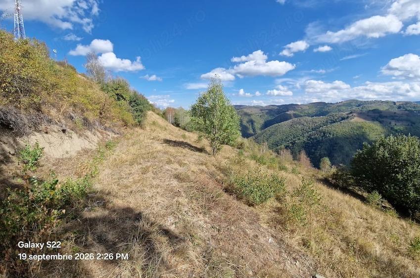 Teren de 7700 mp, în Mărișel