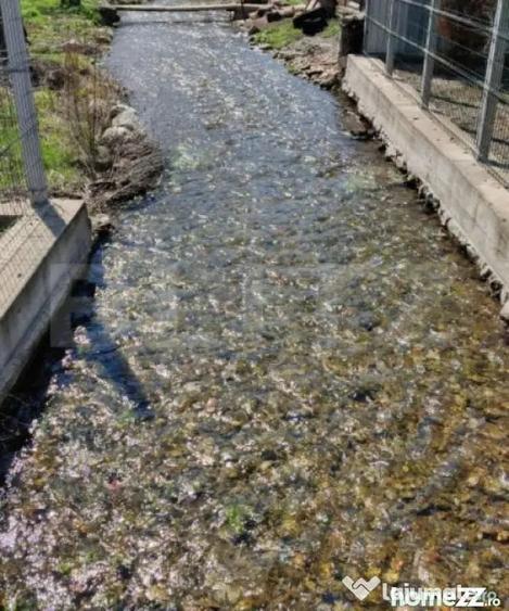 Casă cu 4 camere cu Teren 3300 Mp în Debarcader