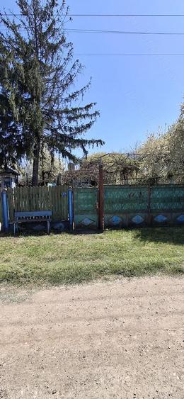 Casă cu Teren 1506 Mp în Brădeanu